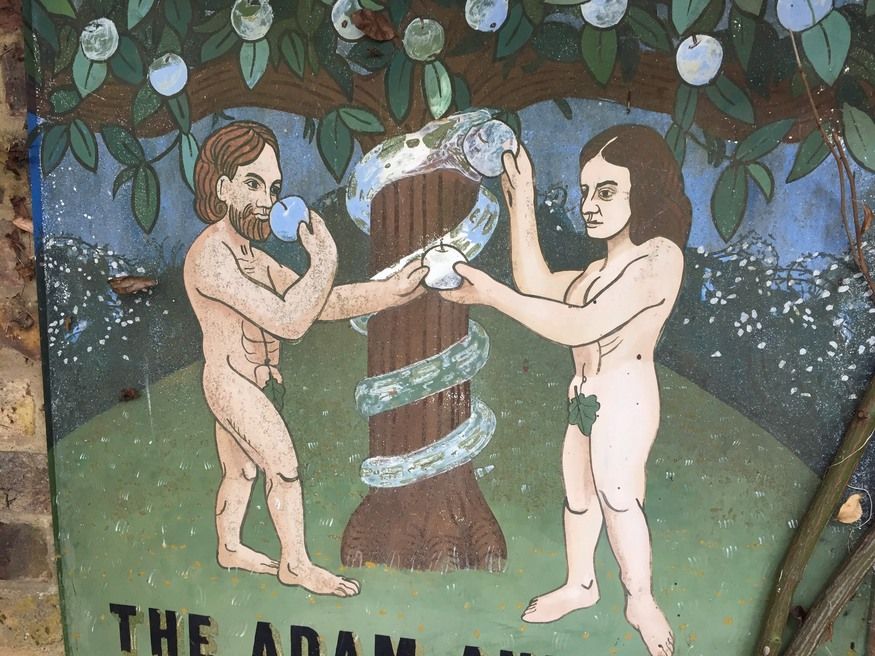 Adam & Eve