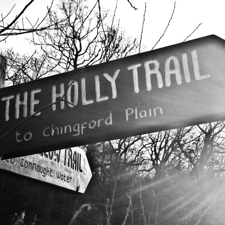 Holly Trail Cafe