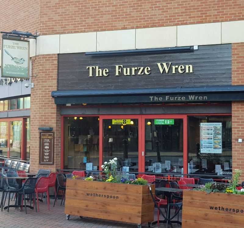 The Furze Wren