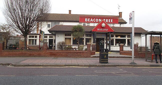Beacon Tree