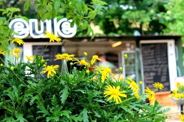 Café Eule