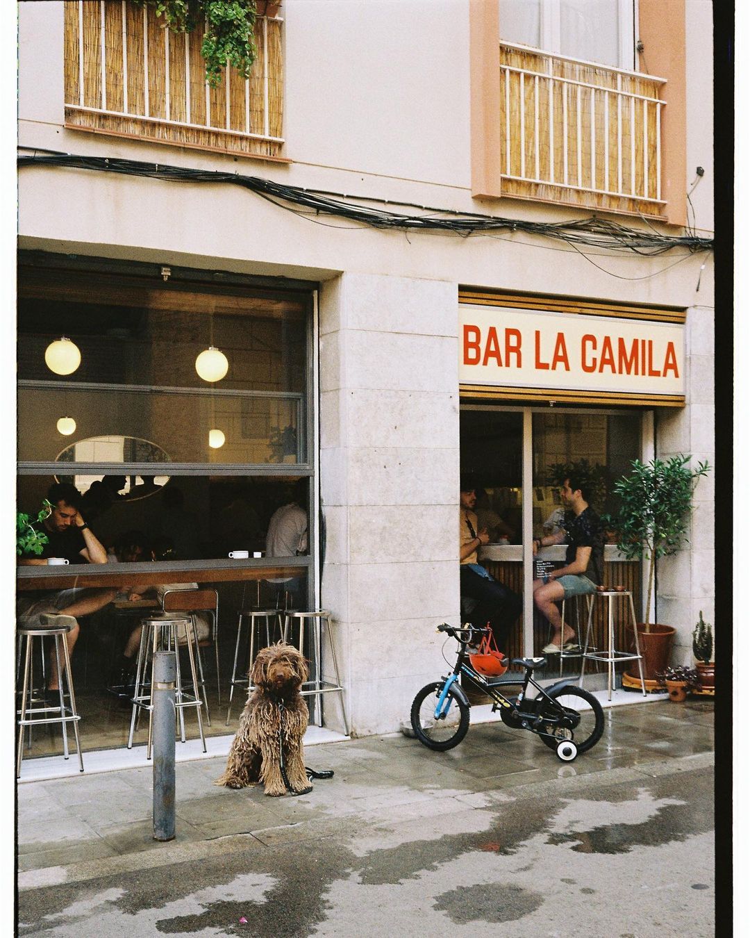 Bar La Camila