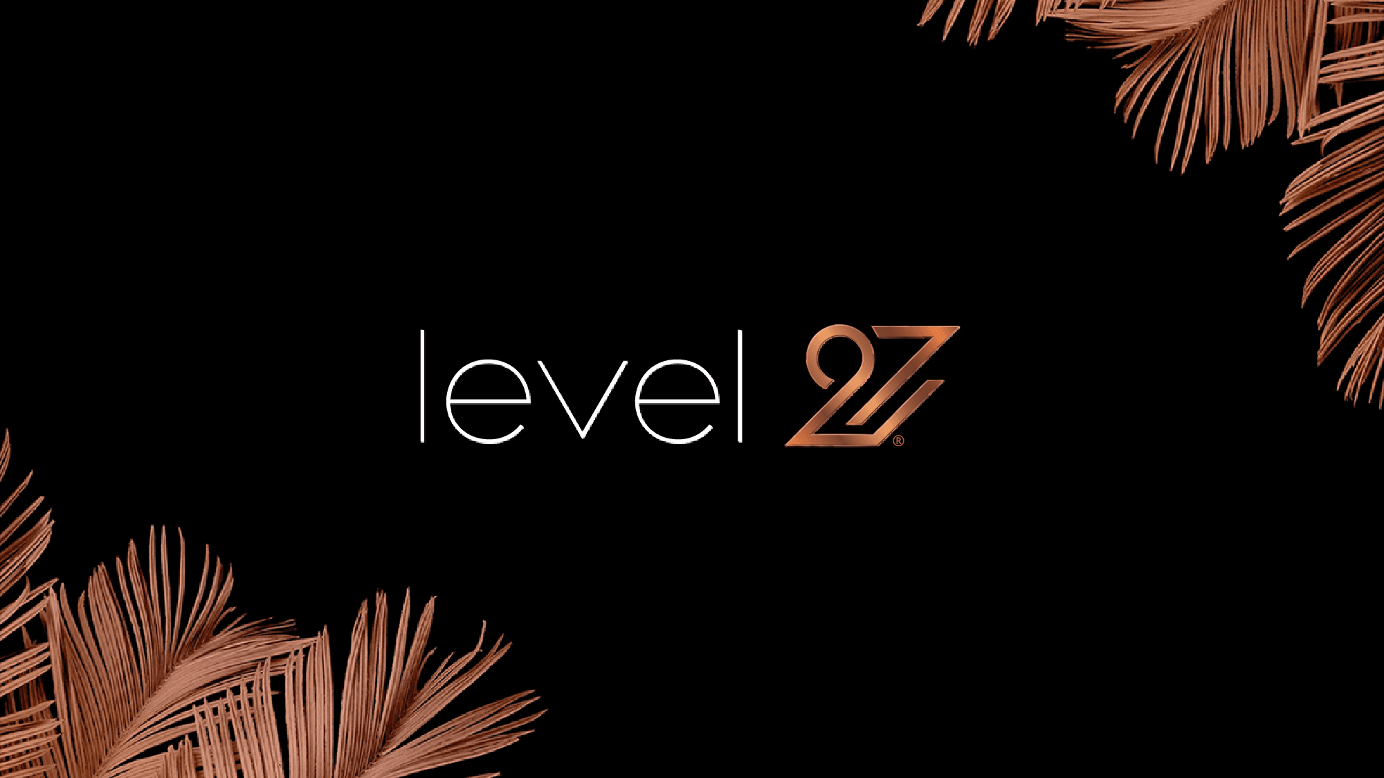 Level 27