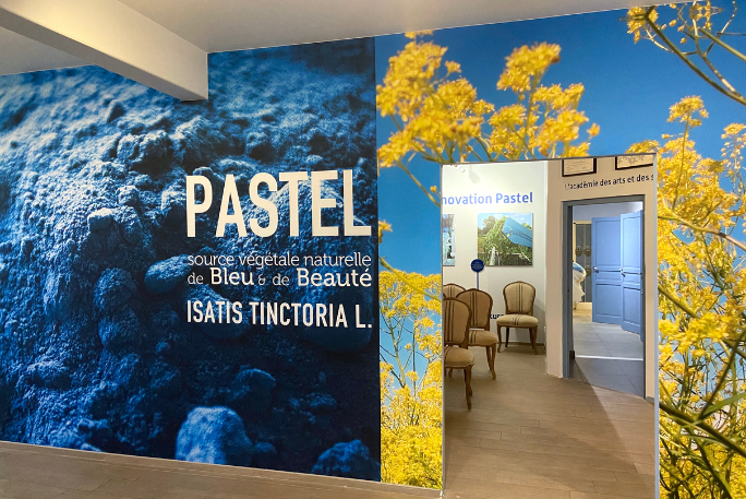 Musée du Pastel