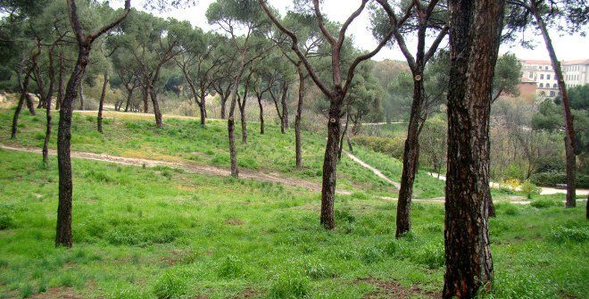 La Dehesa