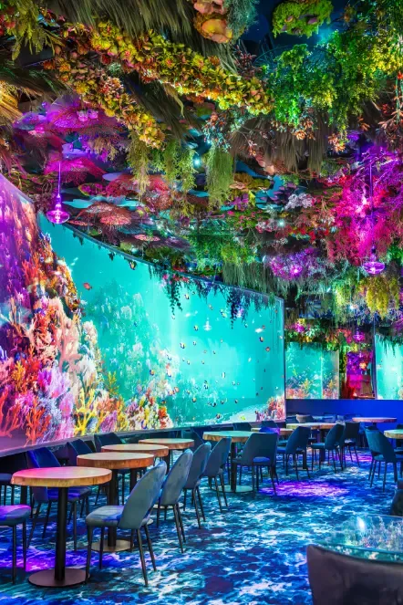 Under the sea