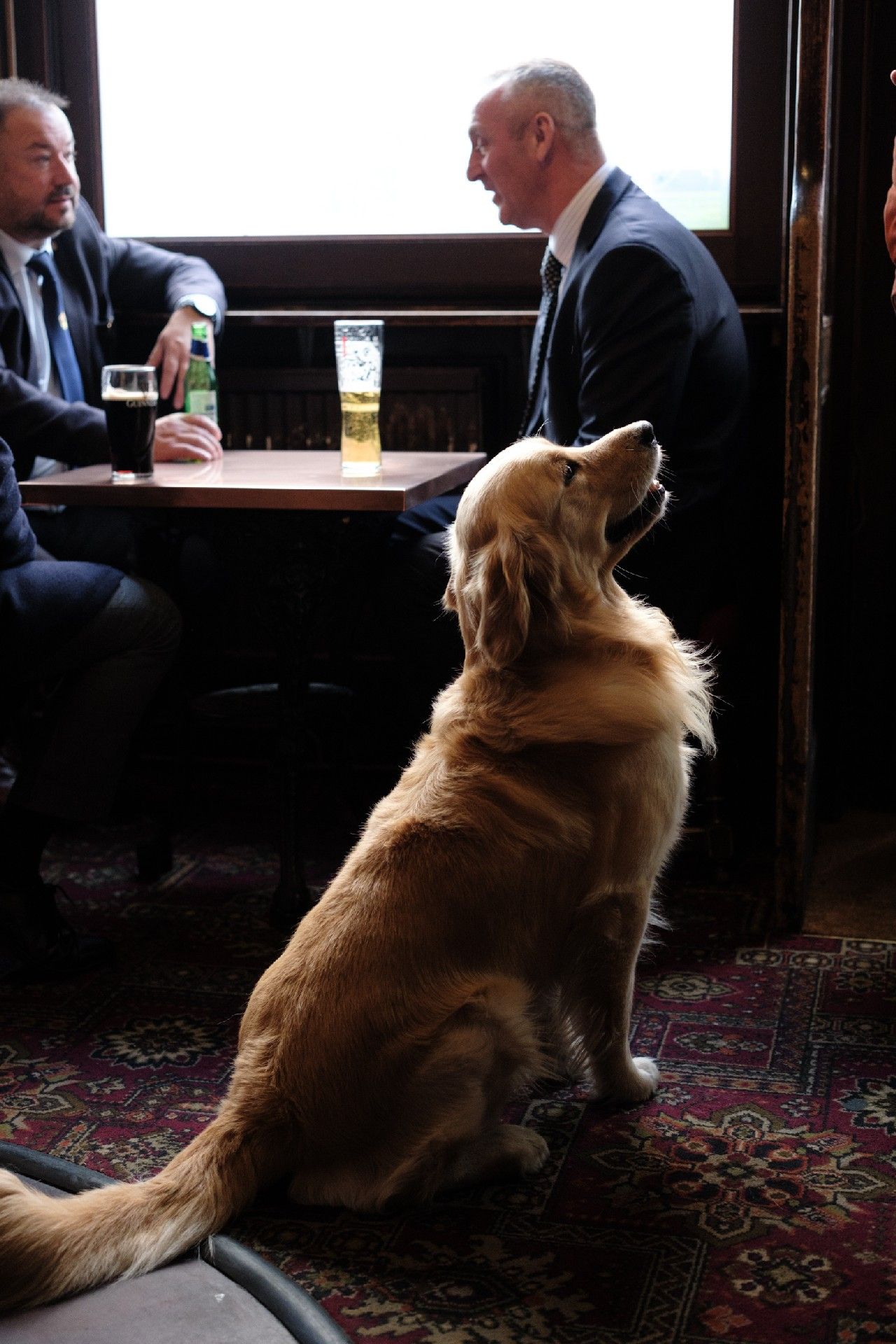 The Red Lion