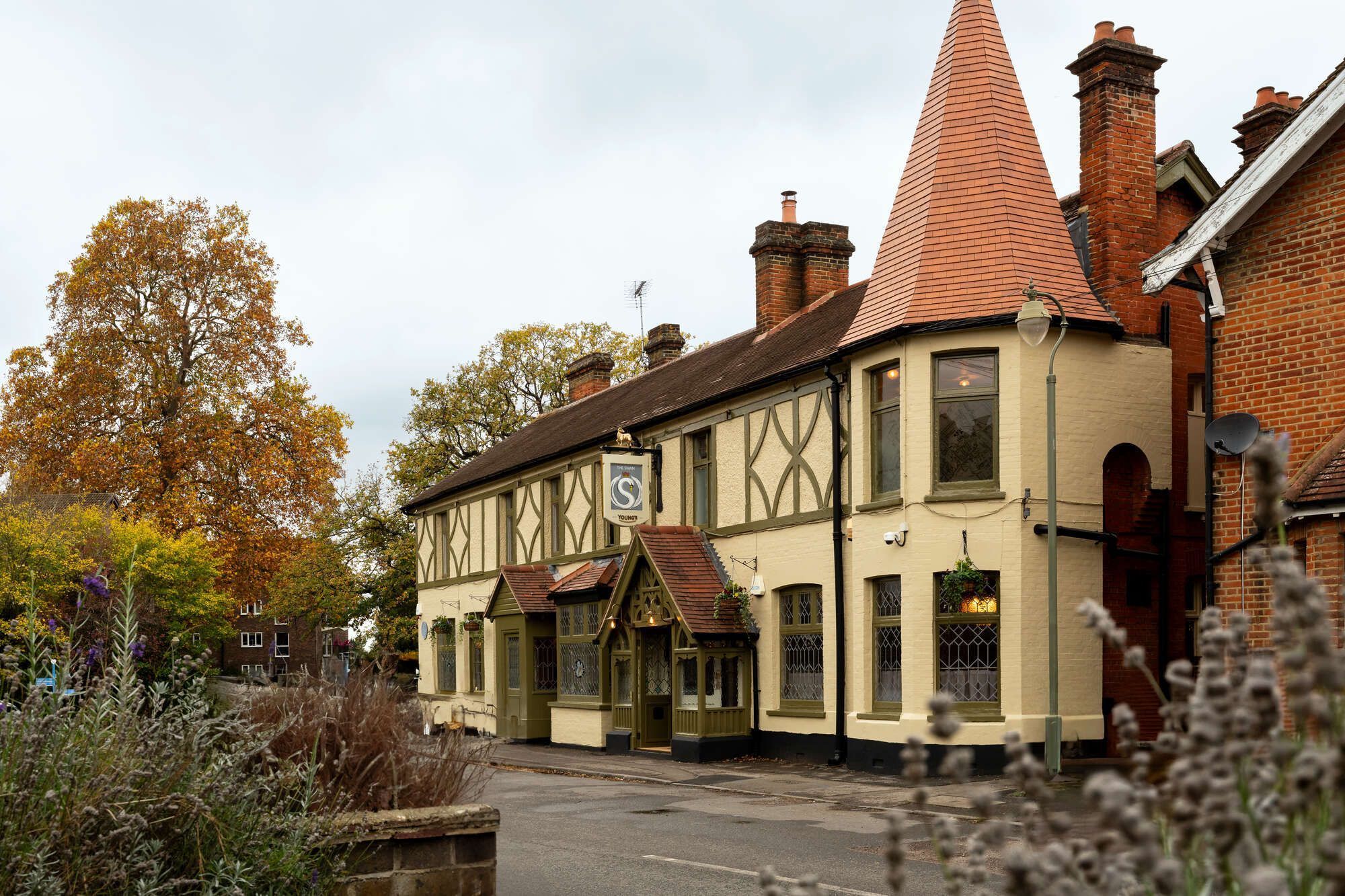 The Swan