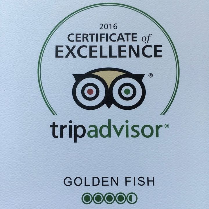 The Golden Fish