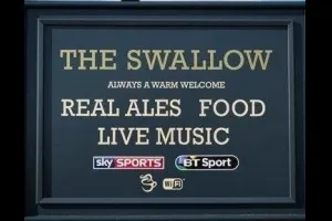 The Swallow