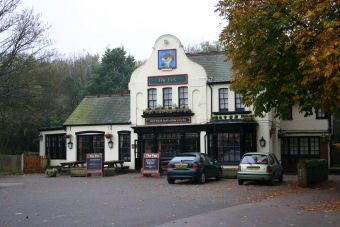 The Fox